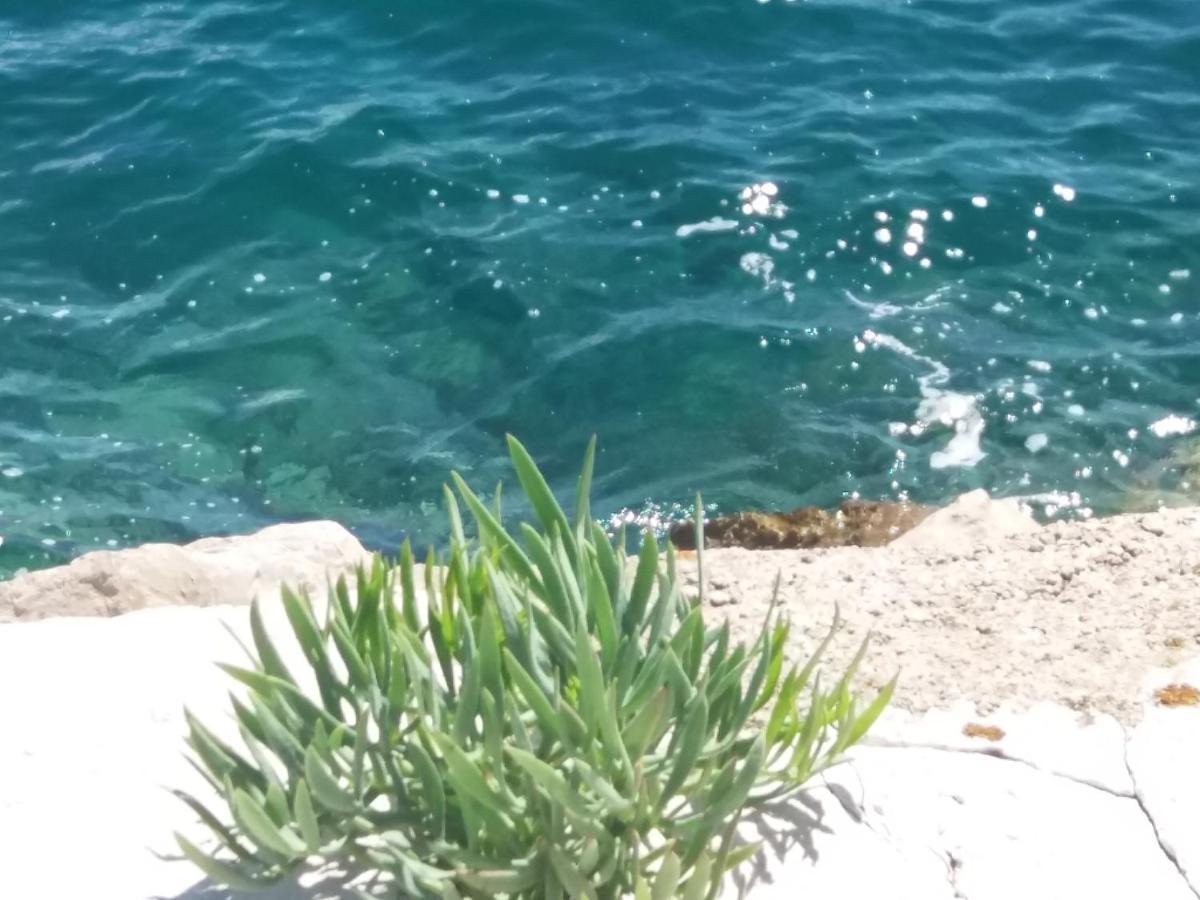 Ema Daire Prvic Sepurine Dış mekan fotoğraf