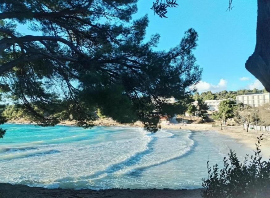 Ema Daire Prvic Sepurine Dış mekan fotoğraf