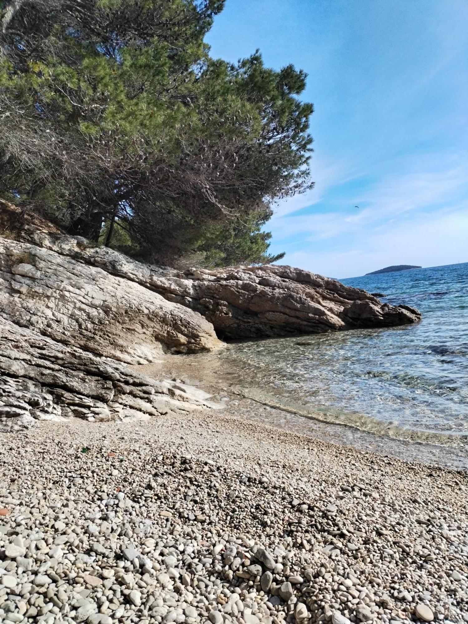 Ema Daire Prvic Sepurine Dış mekan fotoğraf